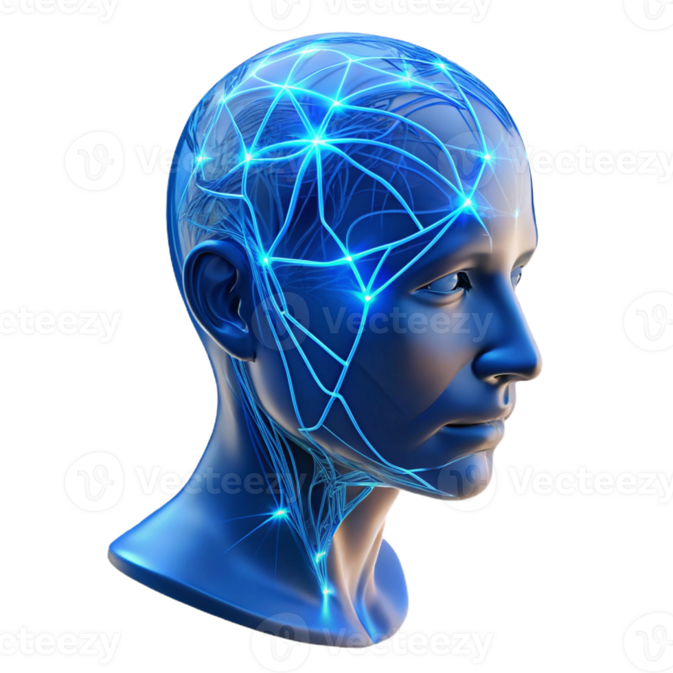 extraordinary artistic A Transparent Human Head with Visible Neu detailed png