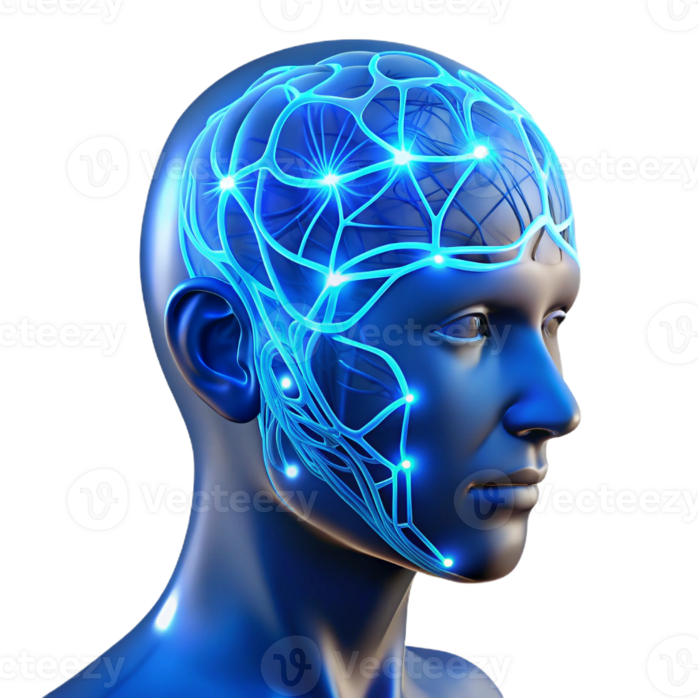 magnificent traditional A Transparent Human Head with Visible Neu genuine png