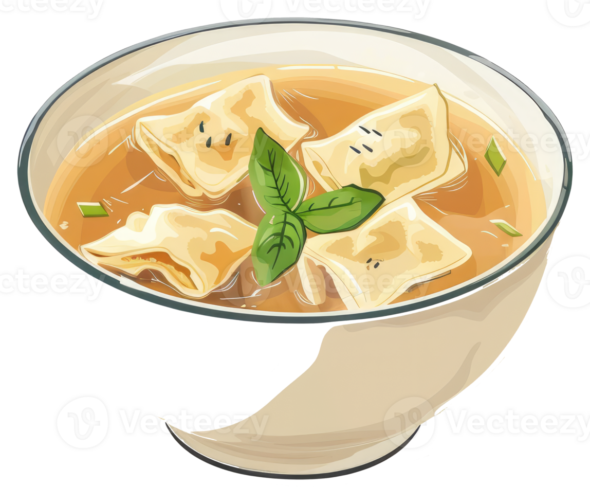 An illustration of a soup with dumplings and herbs in a bowl png