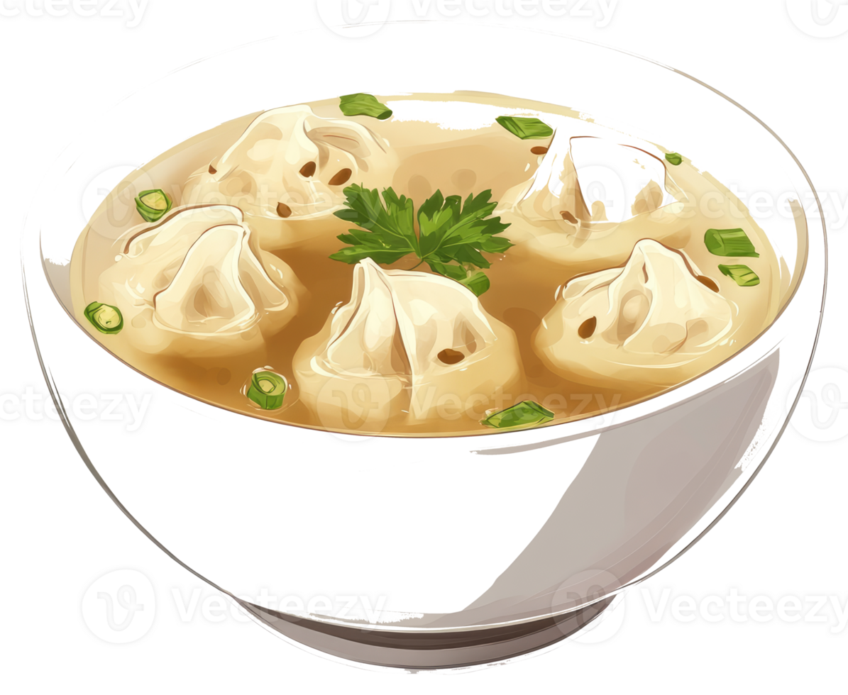 Delicious dumplings with soup are in a white ceramic bowl png