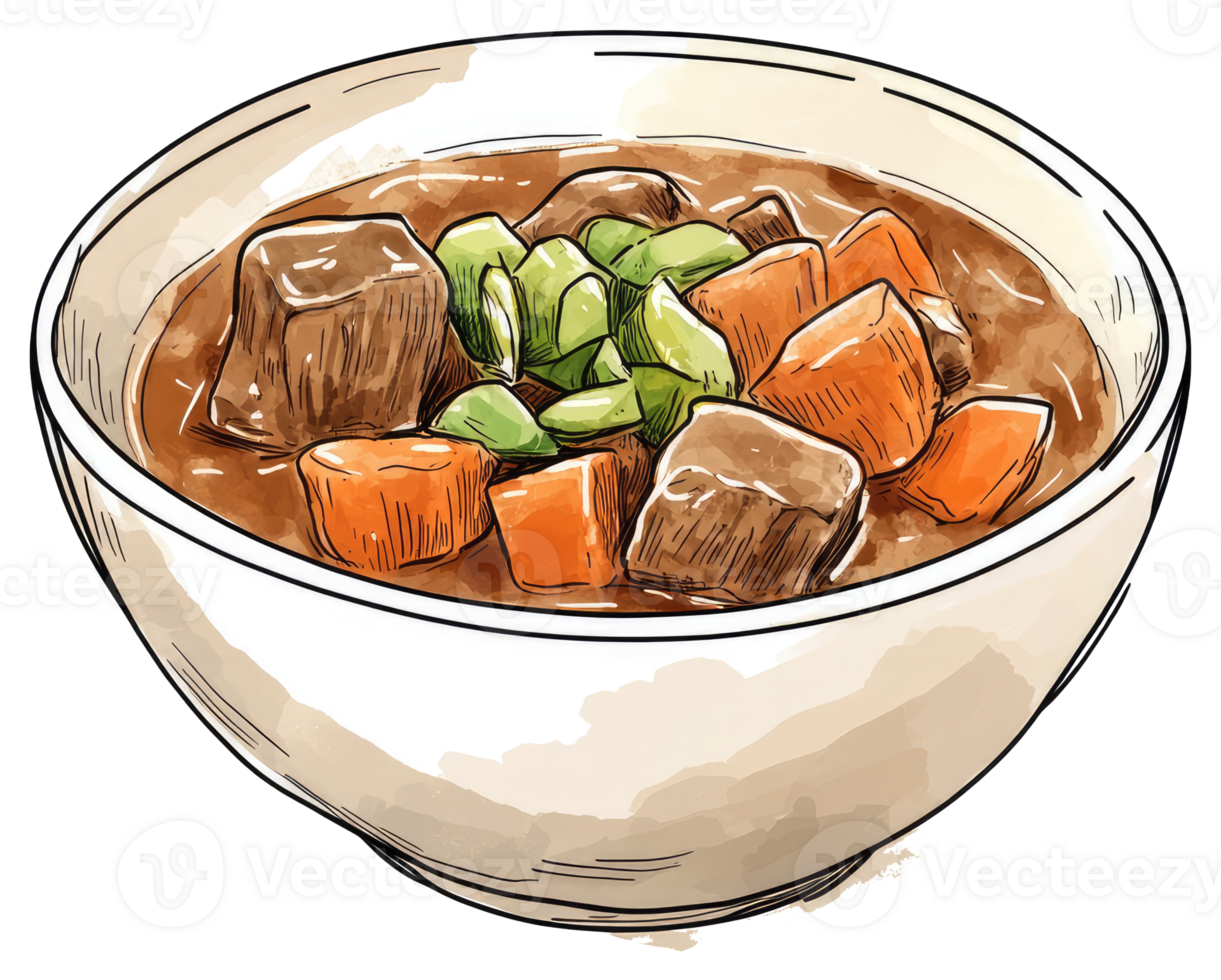 Delicious stew containing chunks of beef carrots and leafy greens is served png