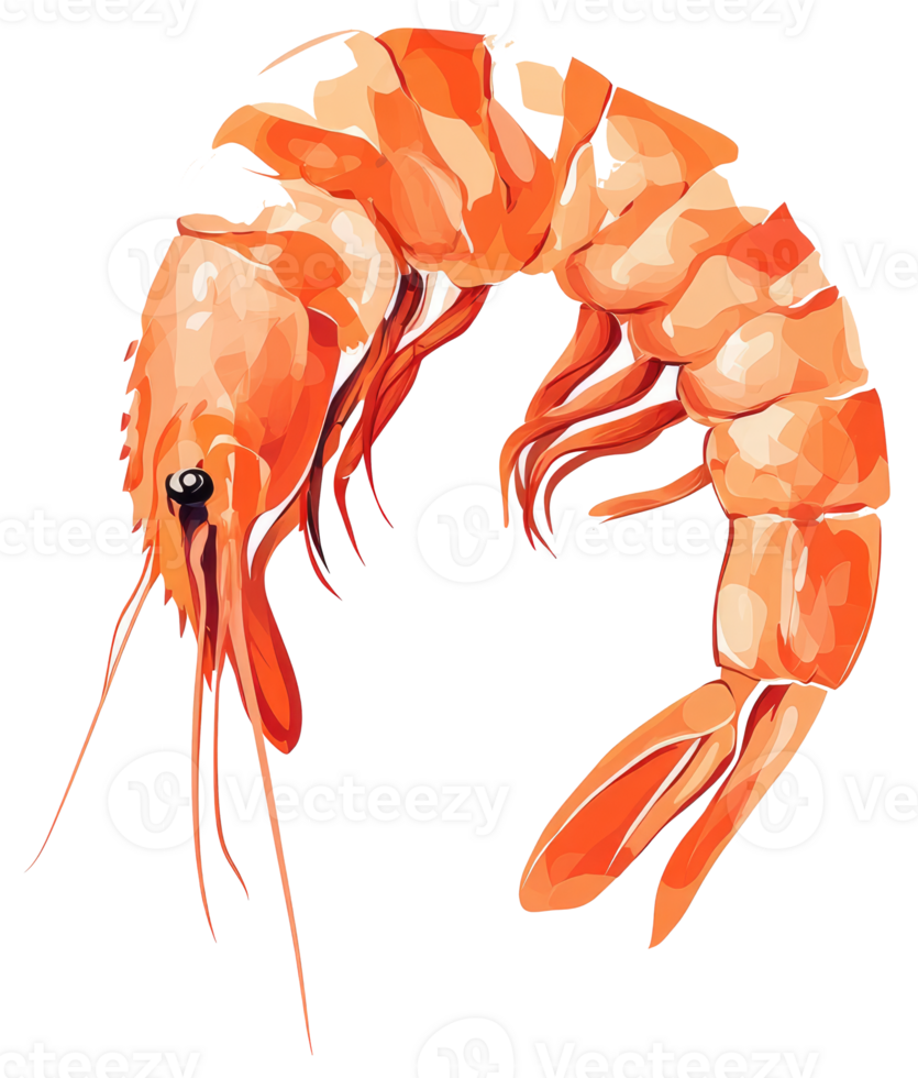 Illustration of a single cooked shrimp with a curved body png