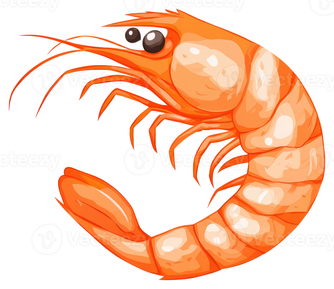 Illustration depicts a cooked shrimp with a bright orange color png