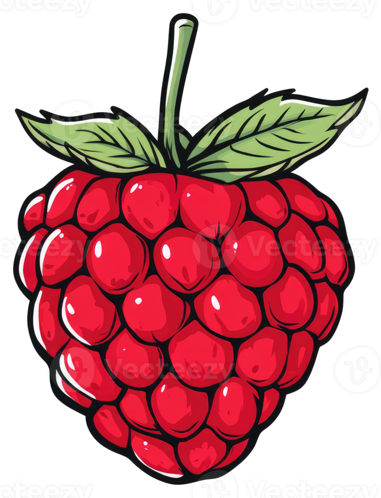 A vibrantly colored illustration depicts a juicy red raspberry png