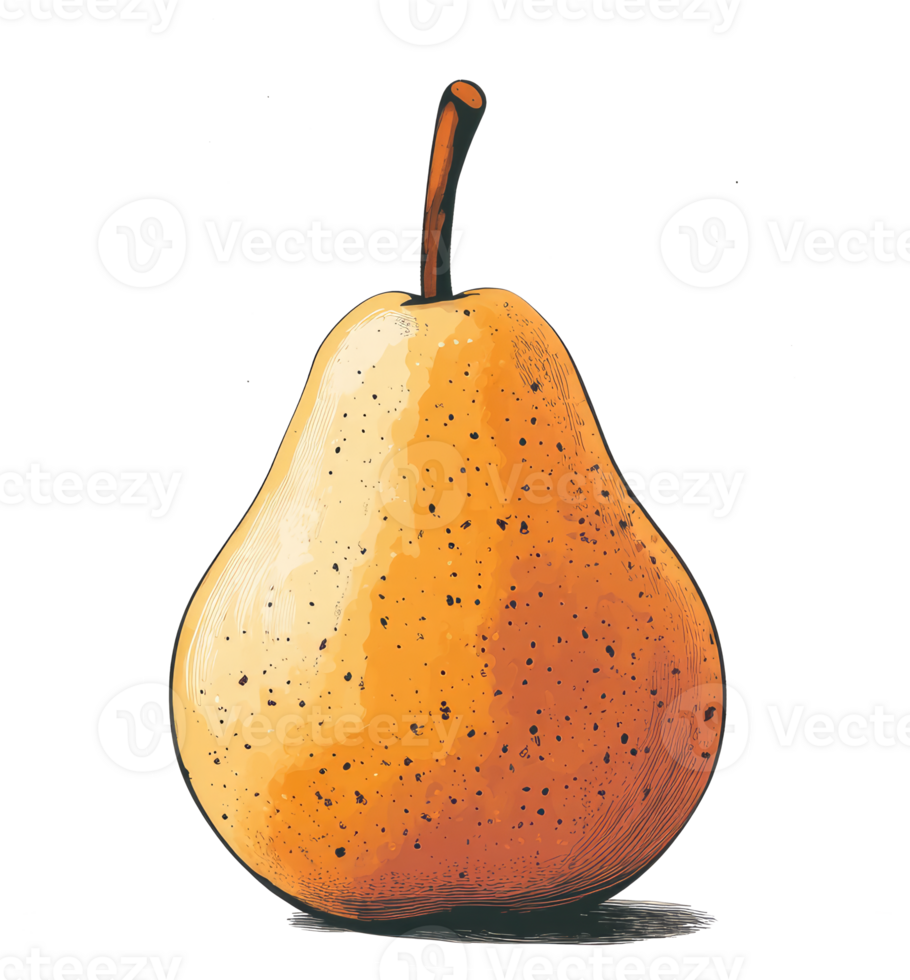 A ripe pear with a long stem in an artistic illustration png