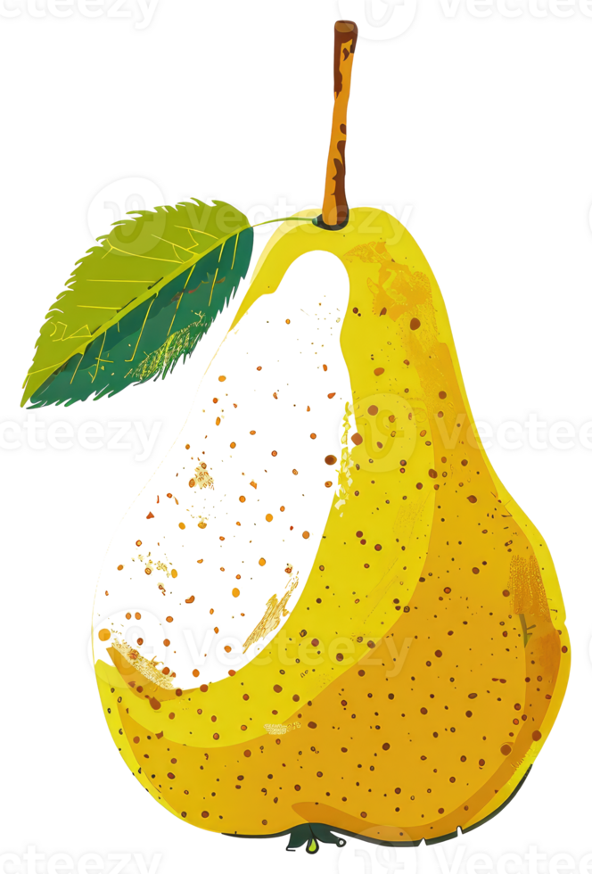 A stylized illustration depicts a pear with a green leaf attached png