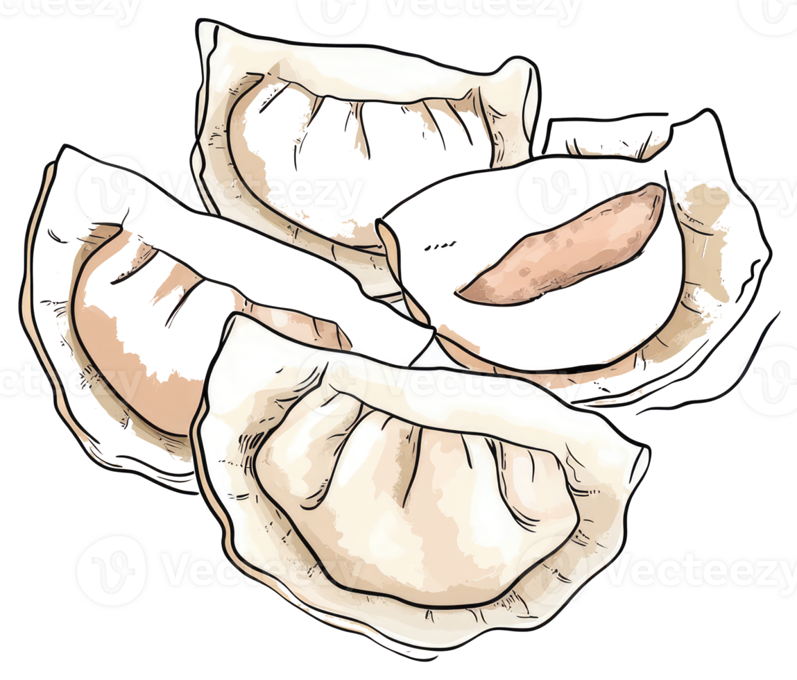 Four delicious dumplings are artfully displayed in a simple illustration png