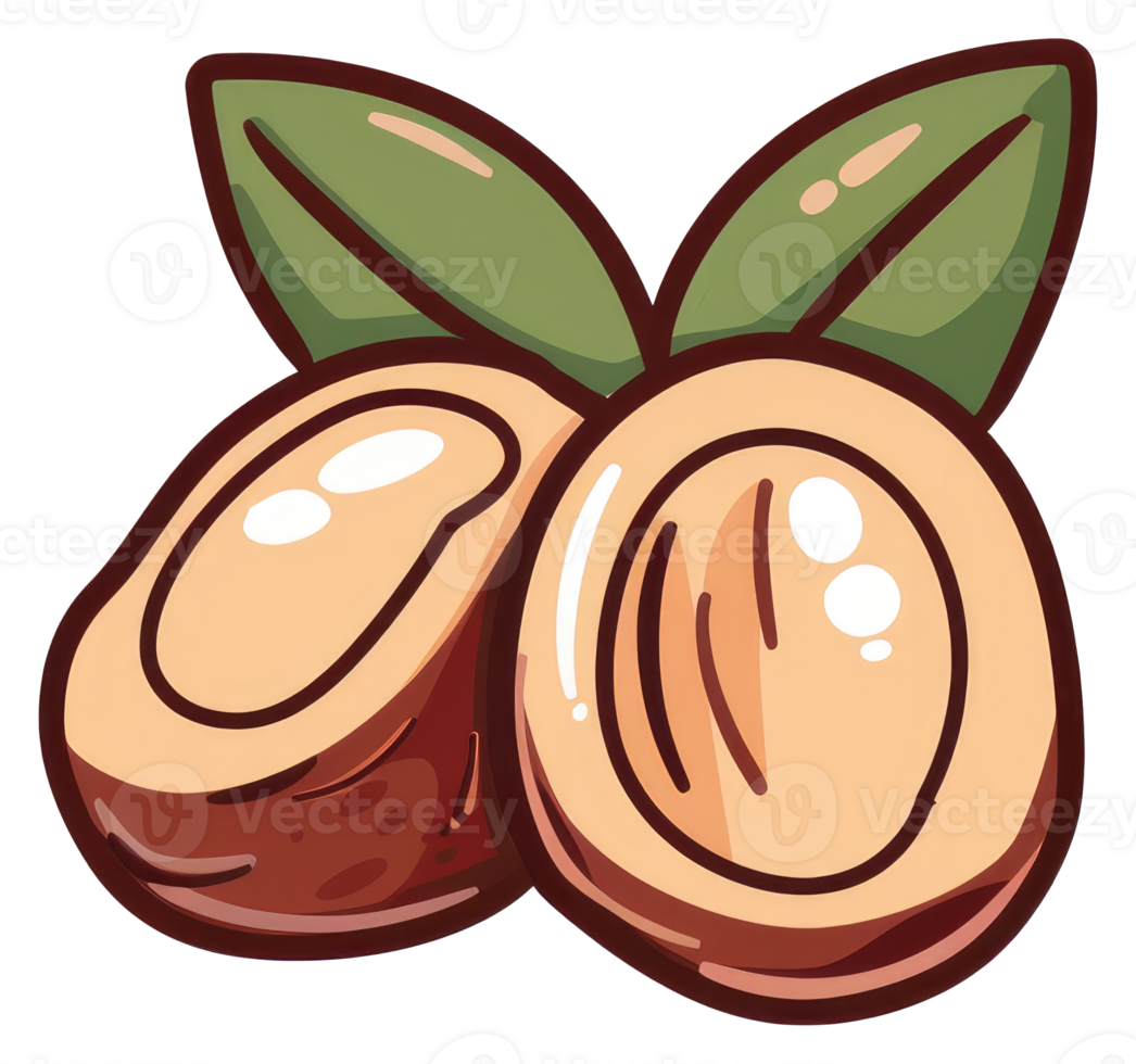 Cartoon drawing illustrating two halved nuts with some green leaves png