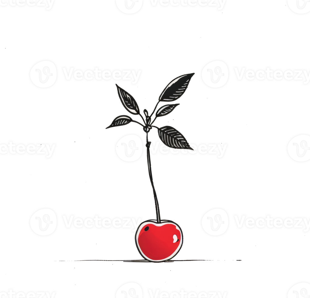 A stylized drawing shows a cherry with some green leaves png