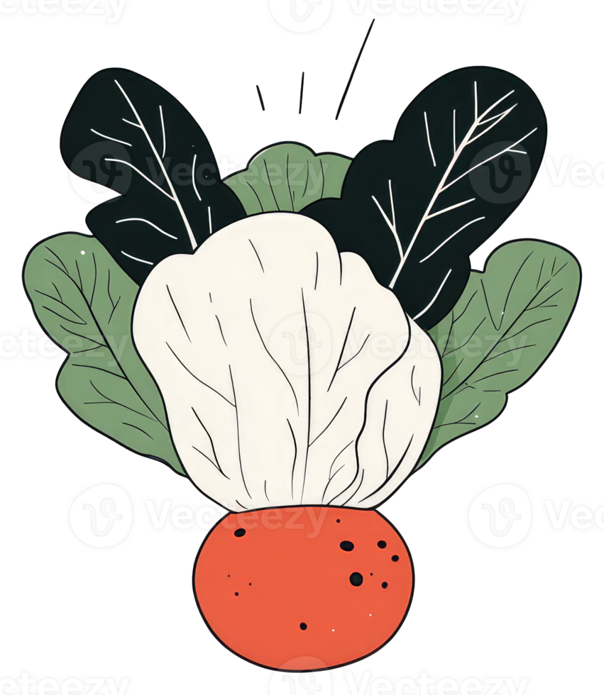 A colorful illustration depicts a healthy vegetable composition of food png