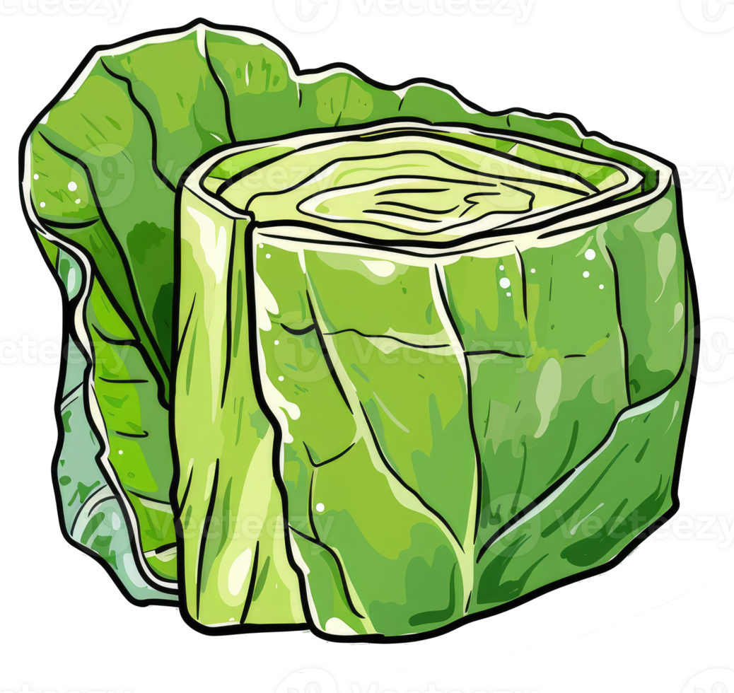 Fresh green cabbage head cut open with many layers shown png