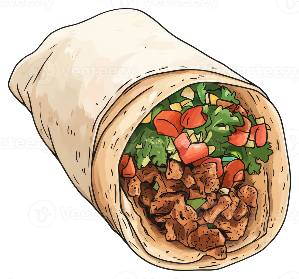 A delicious hand drawn watercolor style image of a tasty burrito png