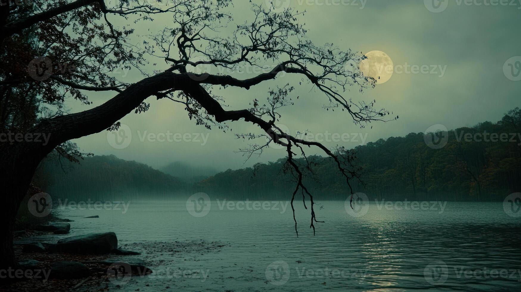 A tree is sitting on the shore of a lake with a full moon photo