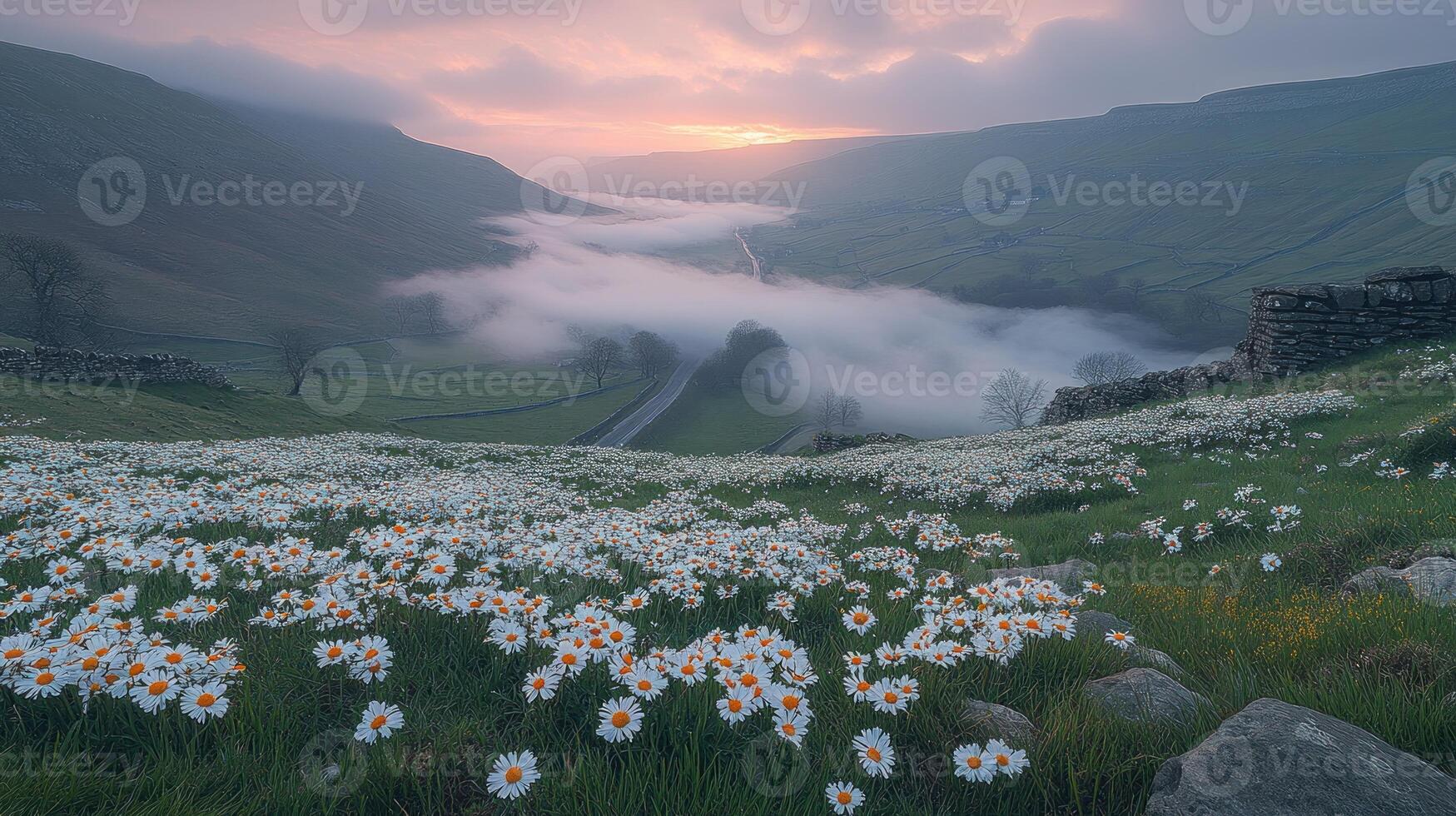 A field of flowers photo