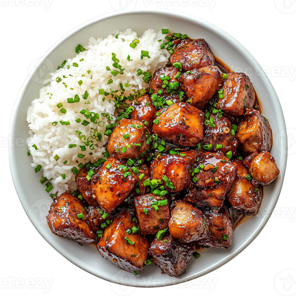 Classic Filipino-style chicken adobo served with fluffy white rice and garnished with green onions png
