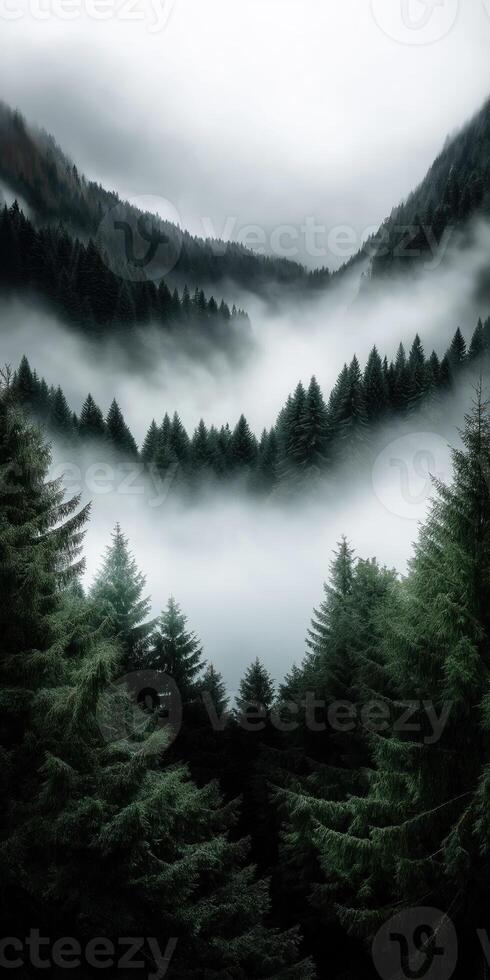 Serene misty forest with pine trees and mountain peaks shrouded in fog for mobile wallpaper photo