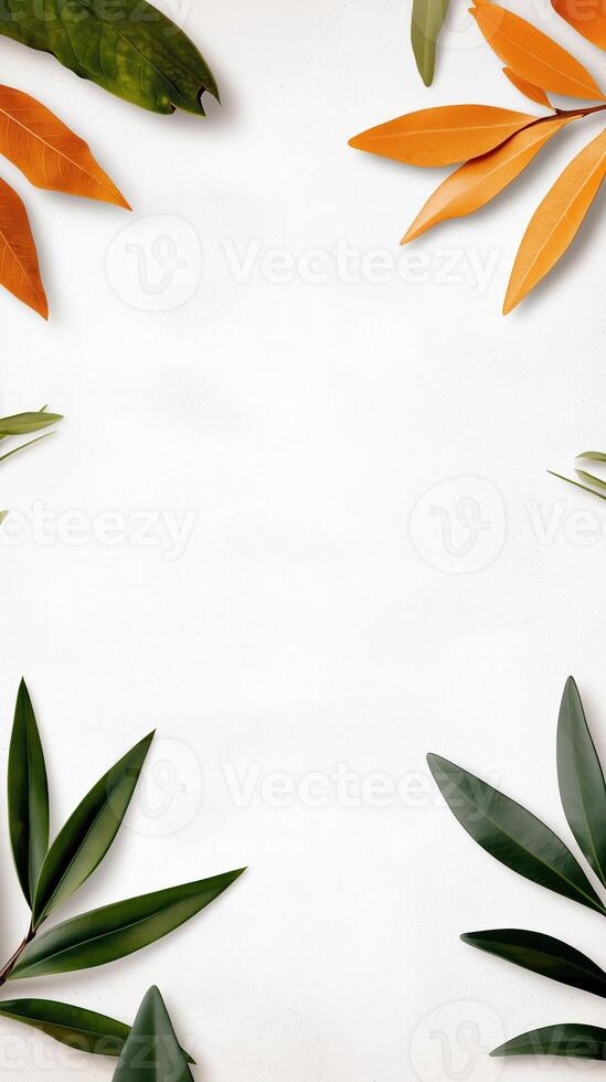 Minimalistic leaf border with green and orange foliage on a white background for creative design photo