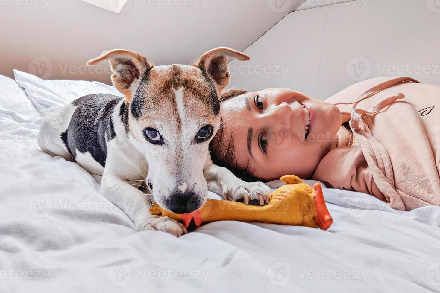 Smiling woman lies on white bed next to her Jack Russell Terrier, who is chewing rubber toy, capturing warm and affectionate moment of companionship. Woman taking selfie with dog photo