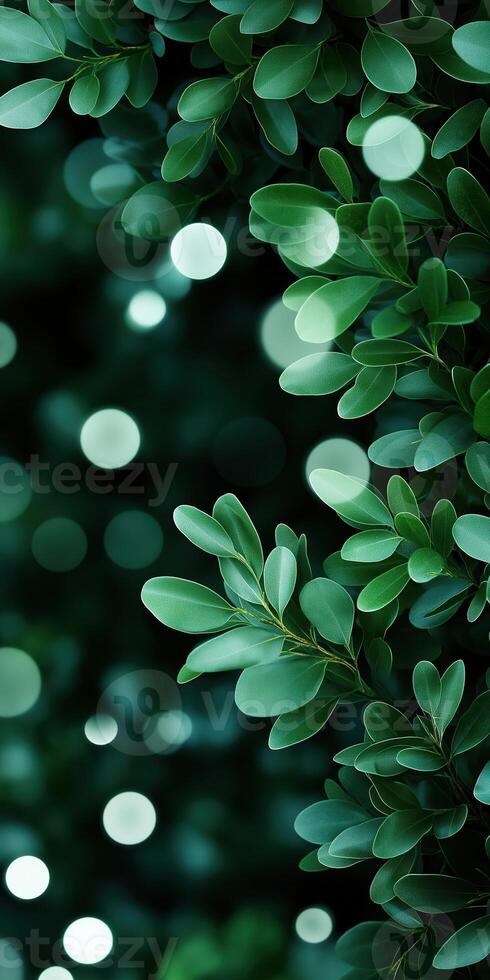 Lush green leaves with soft glowing bokeh background creating a serene natural aesthetic photo