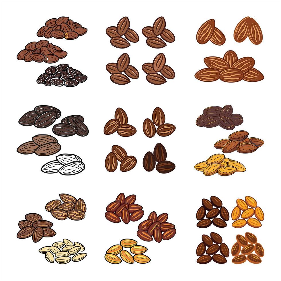 Elegant Piles of Dried Dates Realistic Illustration vector