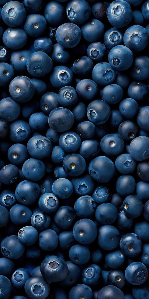 Fresh Blueberries with Deep Blue Vibrant Texture Digital Illustration for Mobile Wallpaper photo