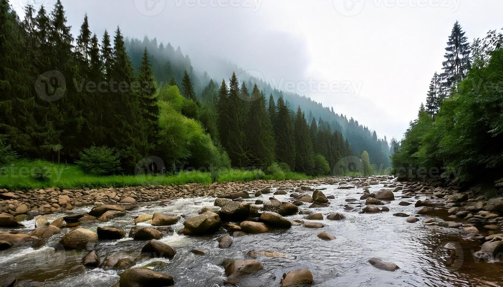 forest and the river foggy morning photo