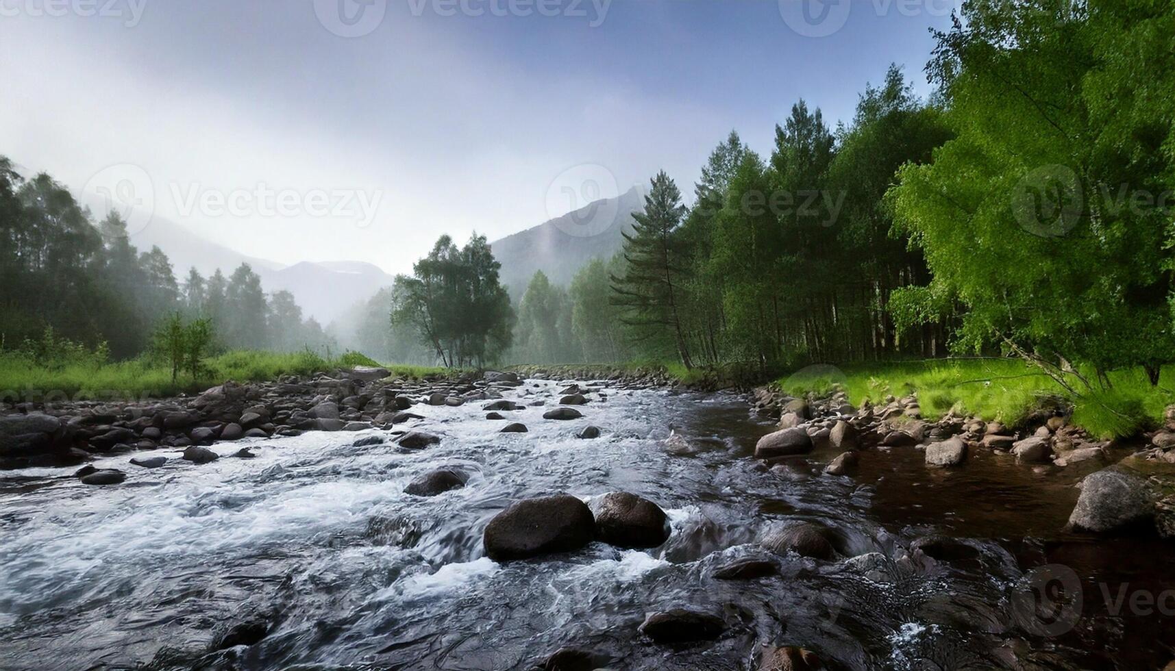A river runs through a forest with rocks and trees photo