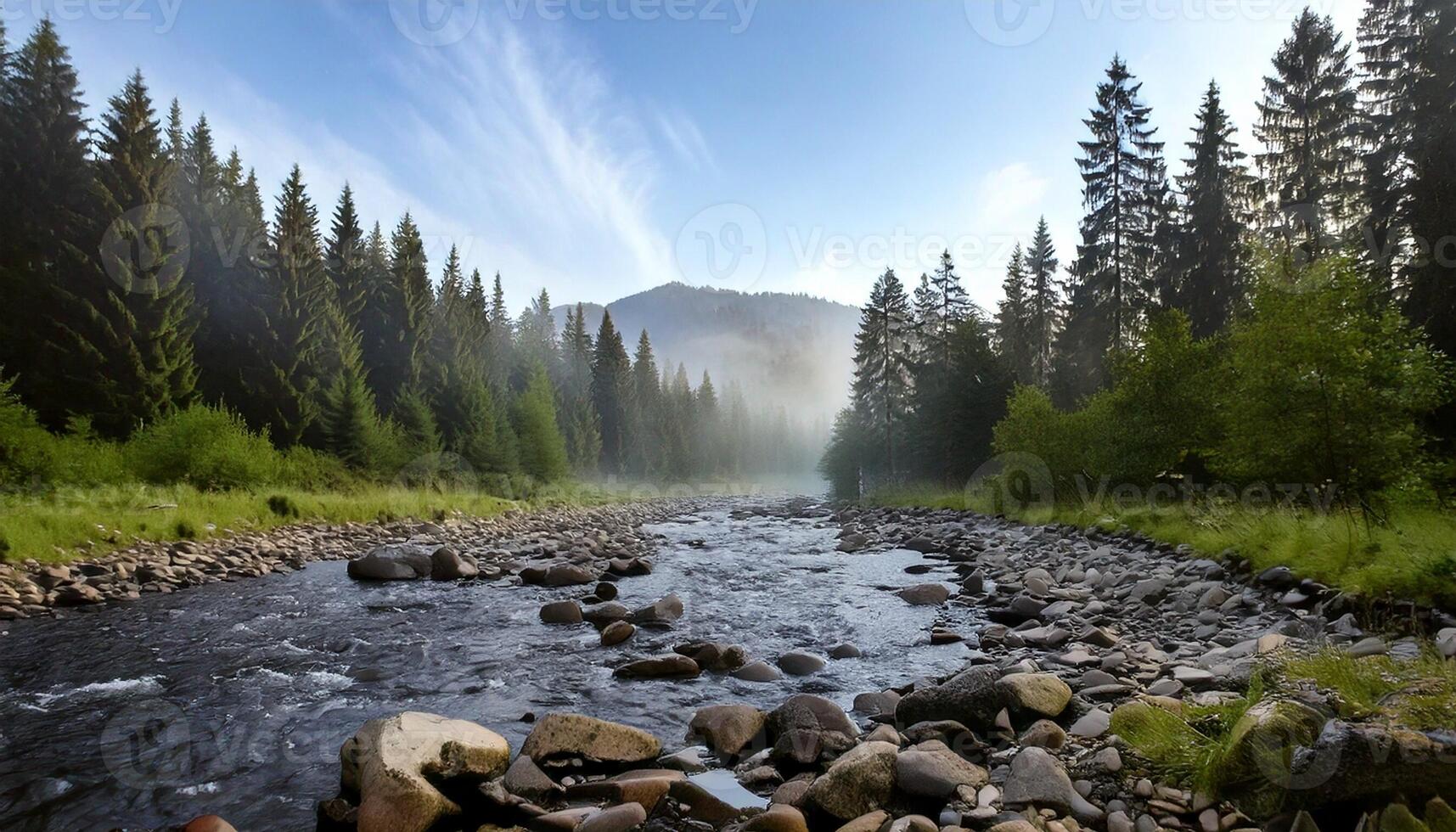 A river runs through a forest with rocks and trees photo