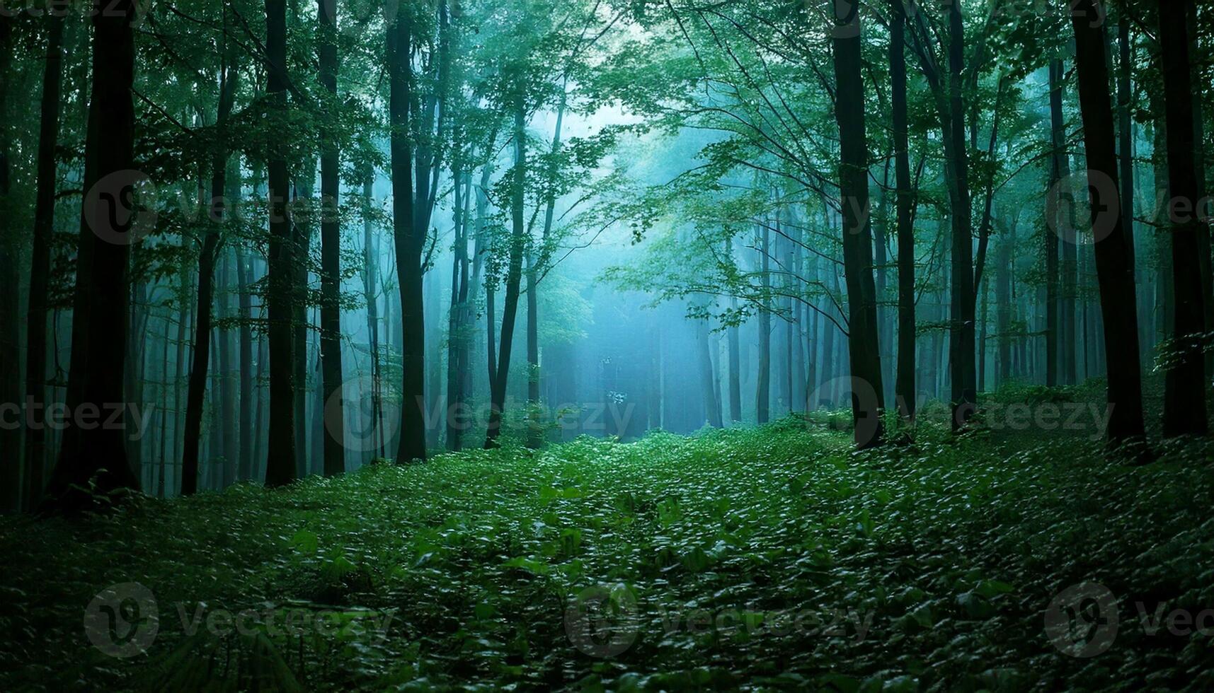 A green forest with trees and grass photo