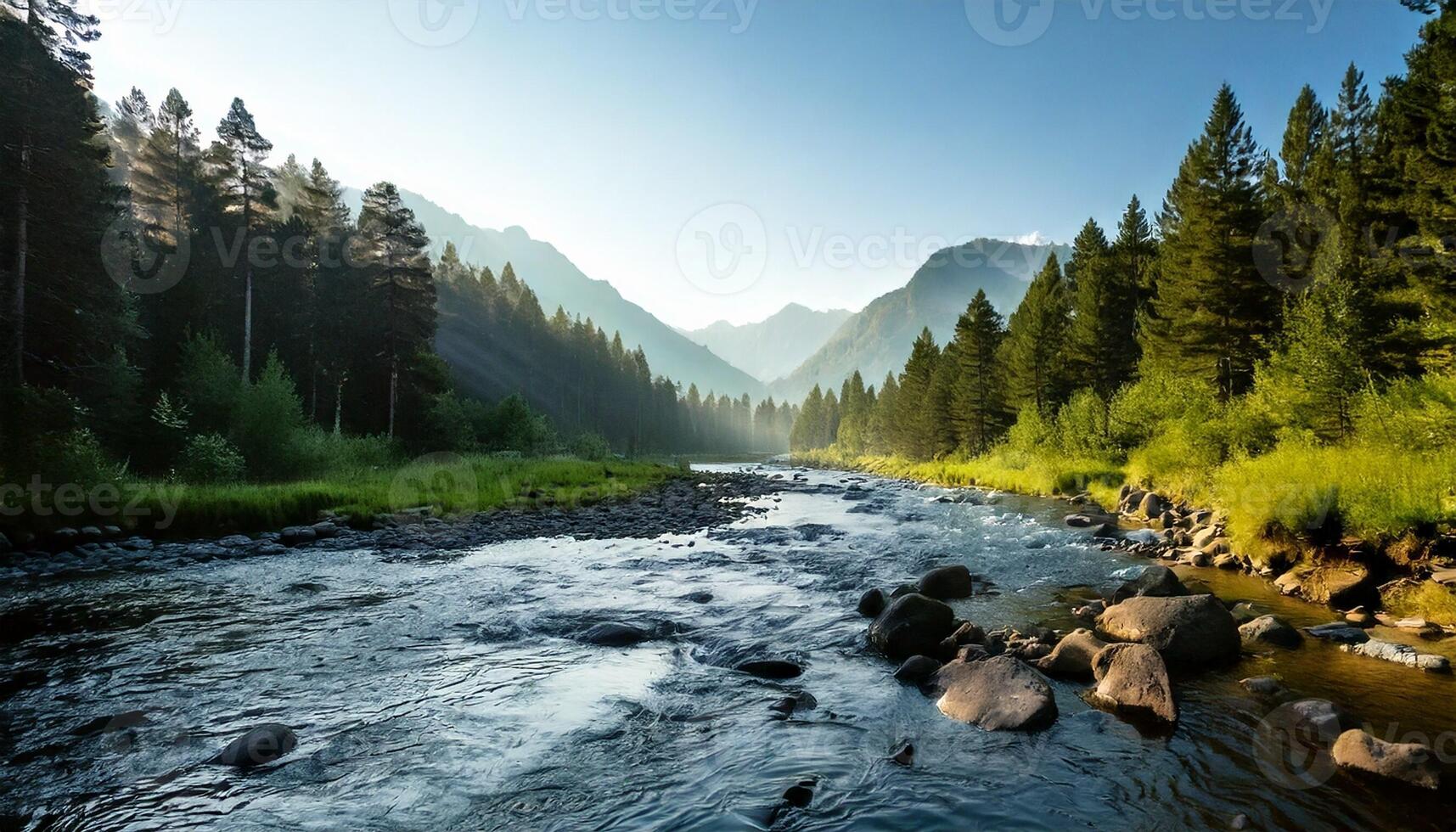 forest and the river photo