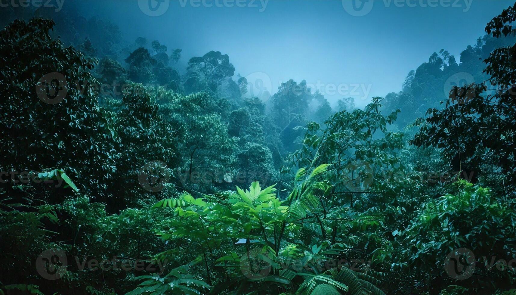 A dark green forest with trees and plants photo