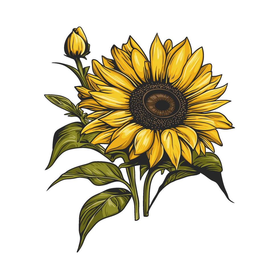 Sunflower with a vibrant yellow flower, brown center, and green leaves, isolated on a white background vector