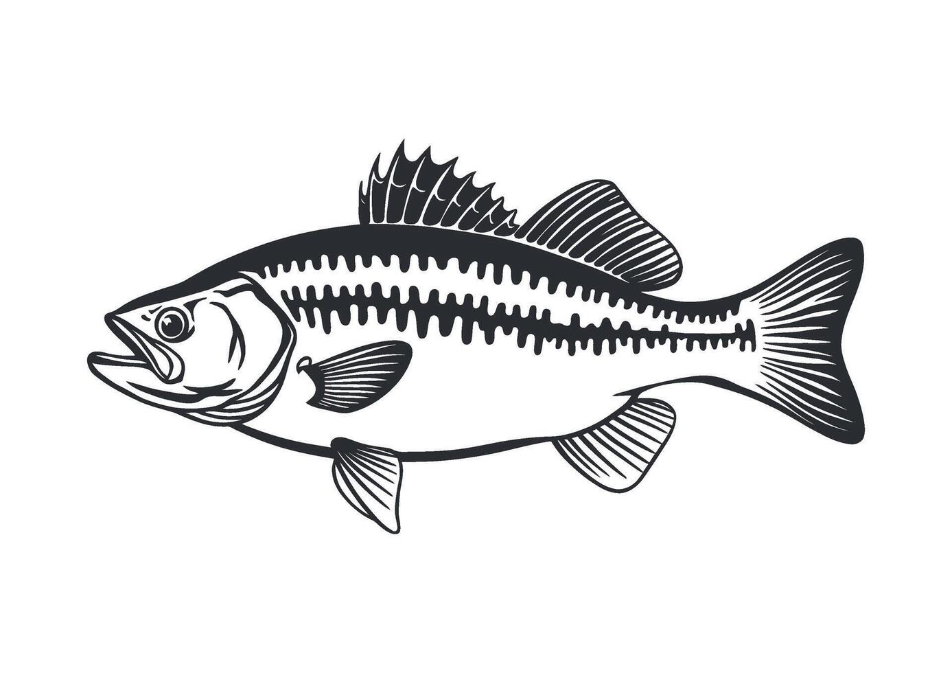 Monochrome drawing of a fish with detailed anatomical vector