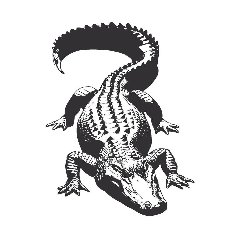 Stylized illustration of an alligator from above vector