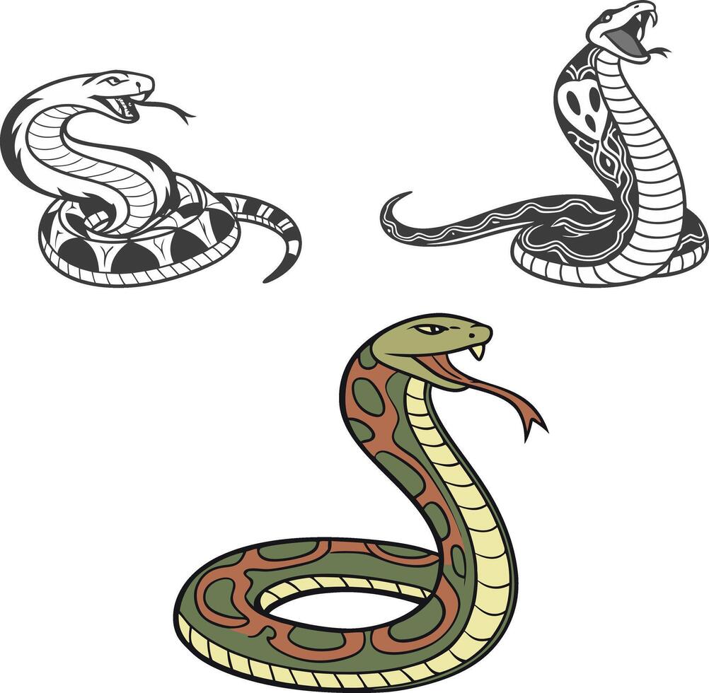 Snake Collection Of Wild Danger Animal Set vector