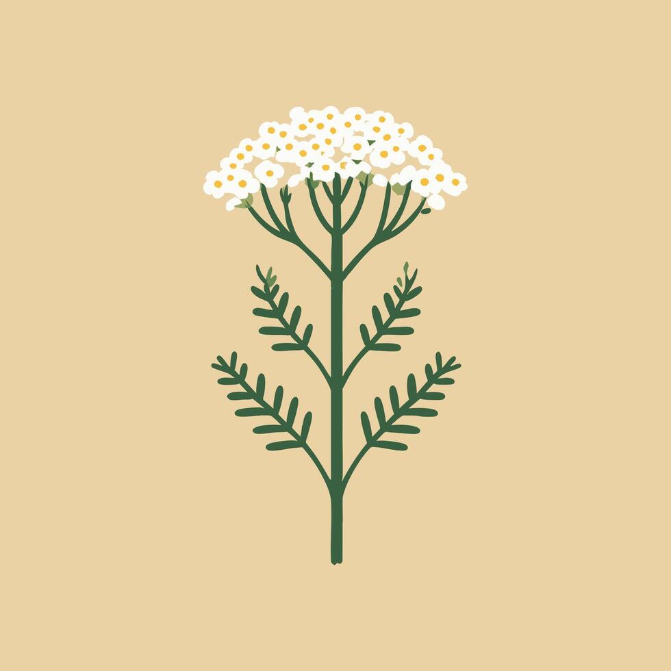 Simple Yarrow Plant Icon vector