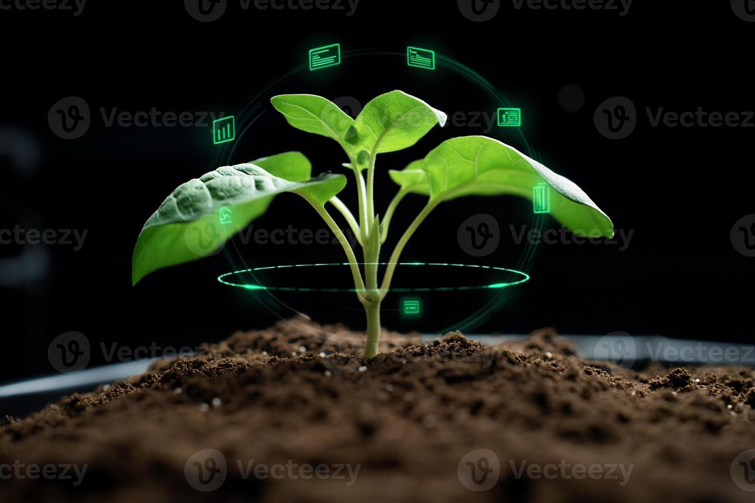 A young plant sprouting from soil with digital overlays indicating growth. photo
