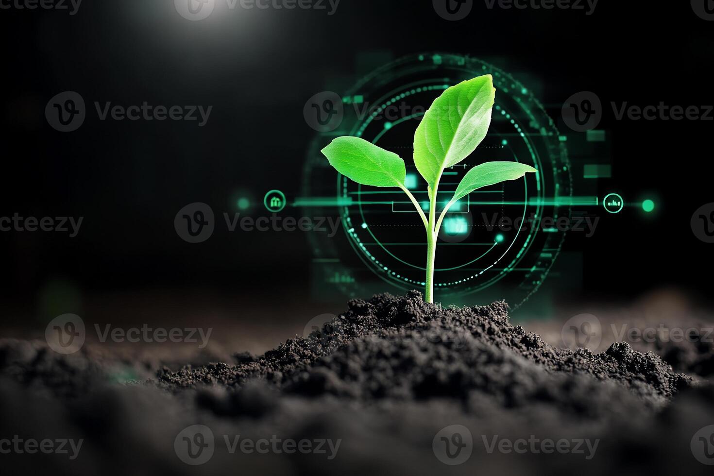A sprouting plant symbolizes growth and technology in a digital context. photo