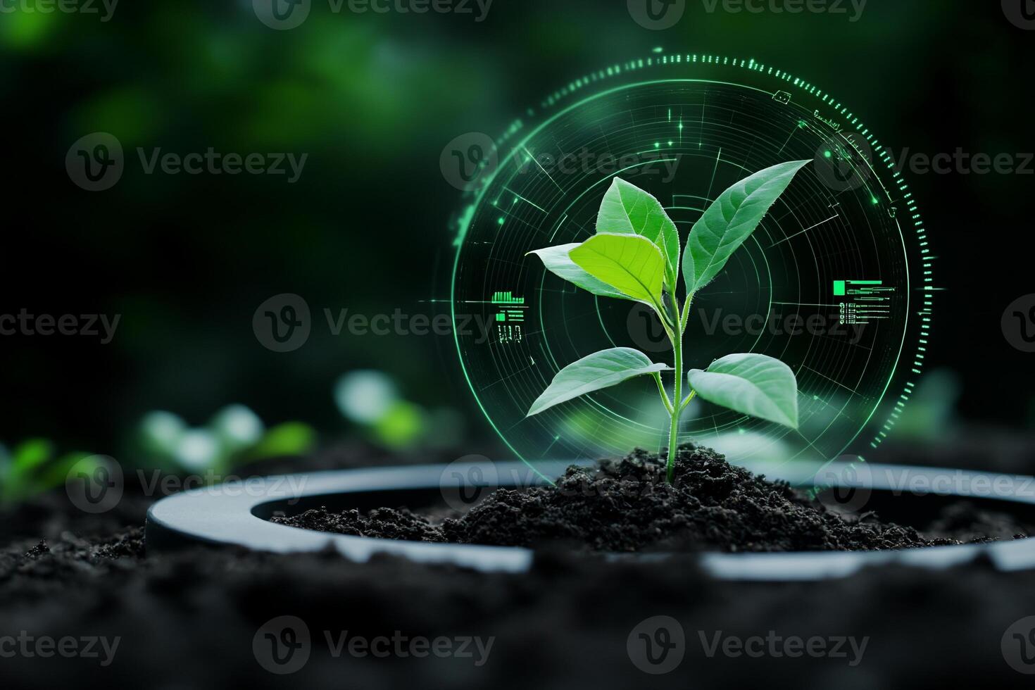 A young plant emerging from soil with digital overlays indicating growth. photo