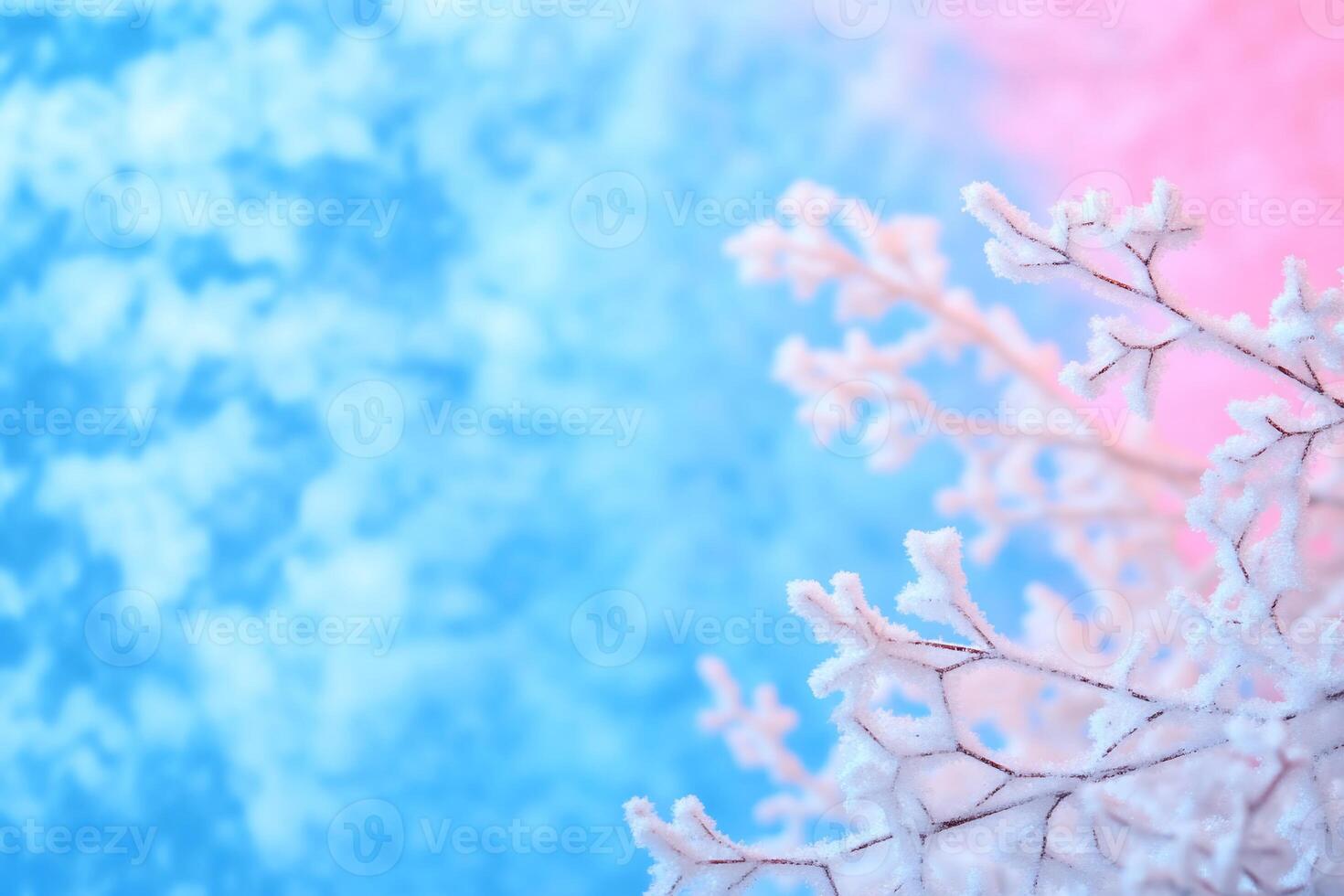 A delicate frost-covered branch against a colorful winter background. photo