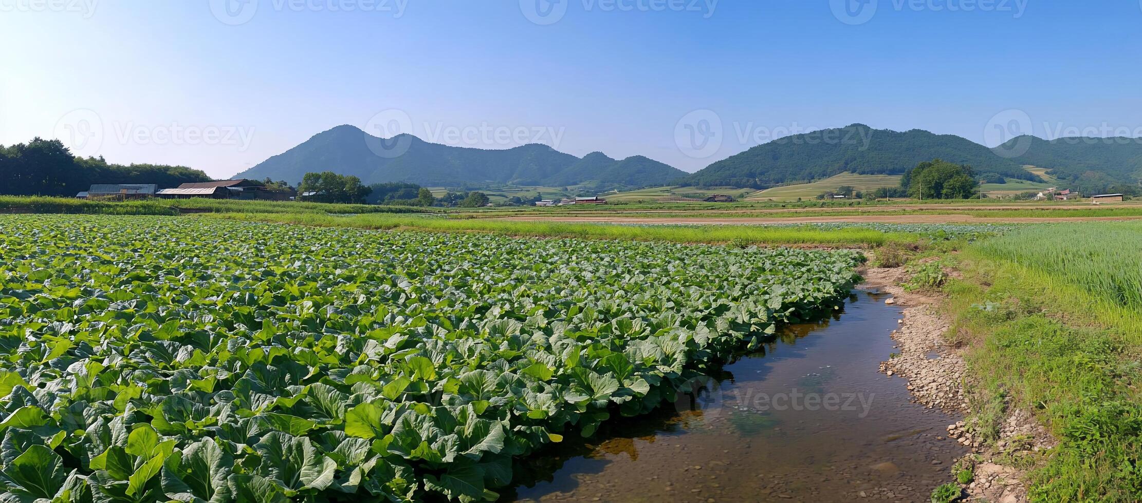A serene landscape with lush greenery and mountains under a clear sky. photo