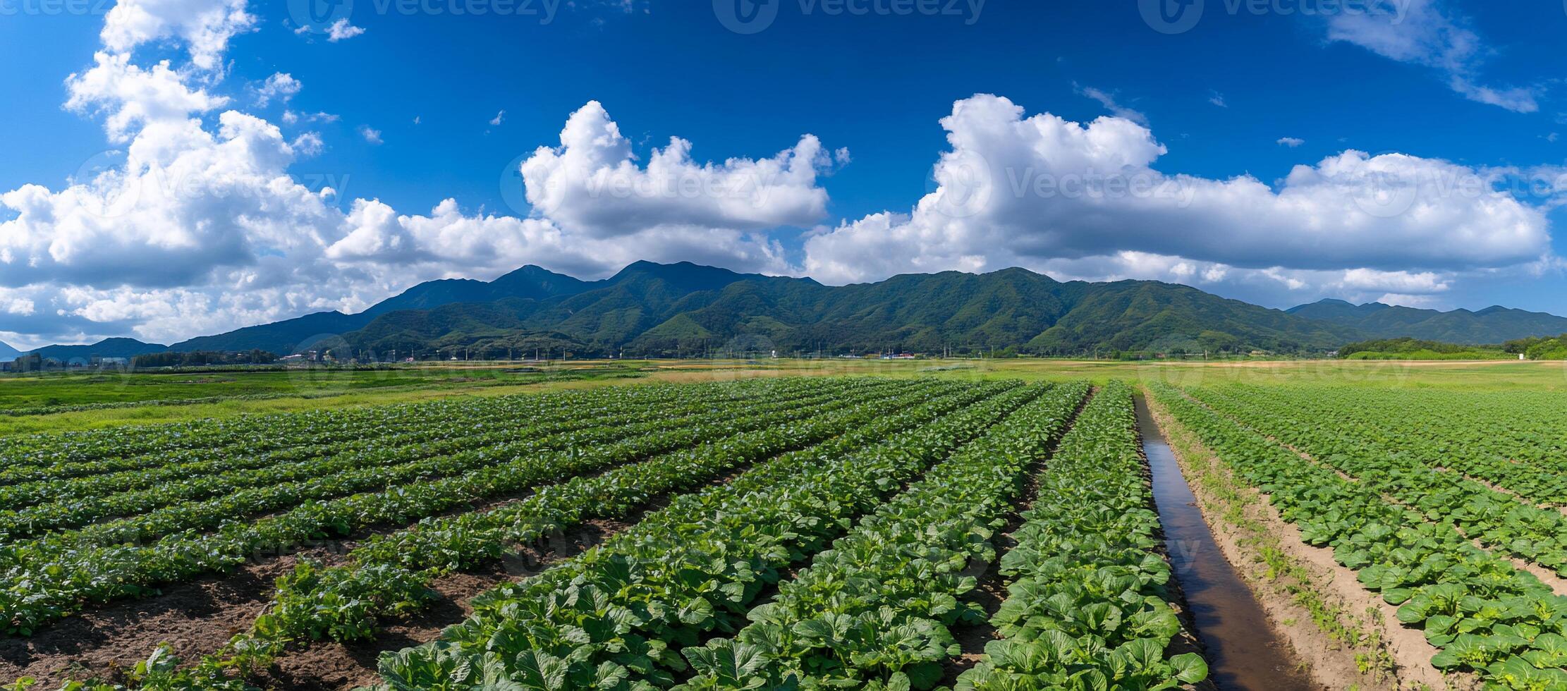 A panoramic view of lush green fields with mountains and clouds. photo
