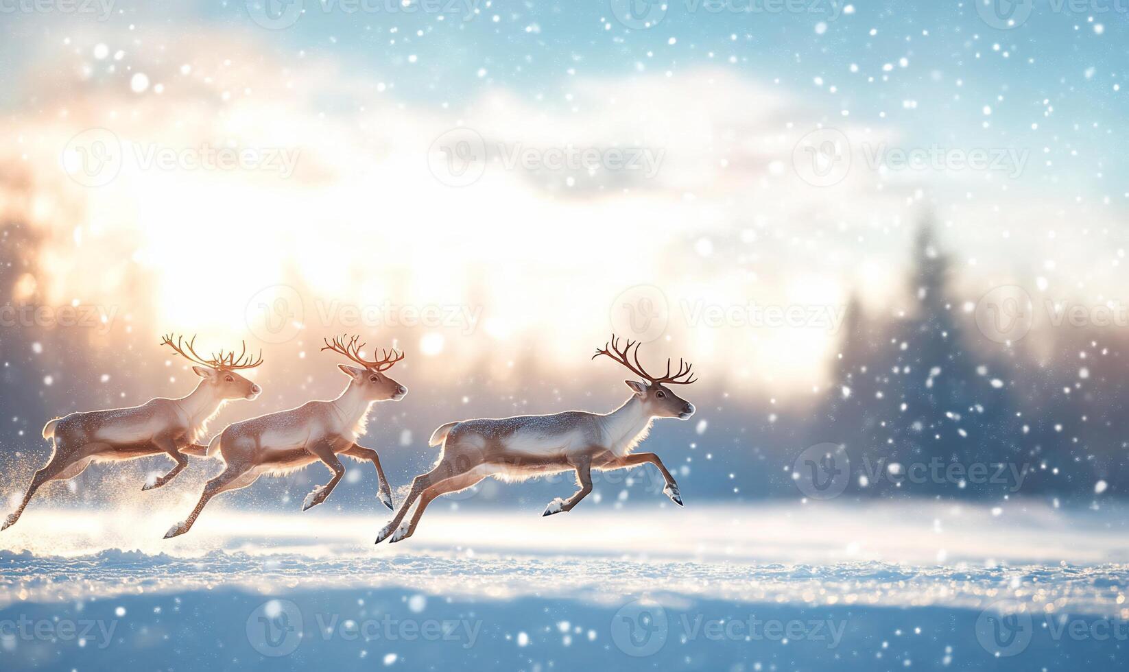 Three reindeer running through a snowy landscape with a soft sunset backdrop. photo