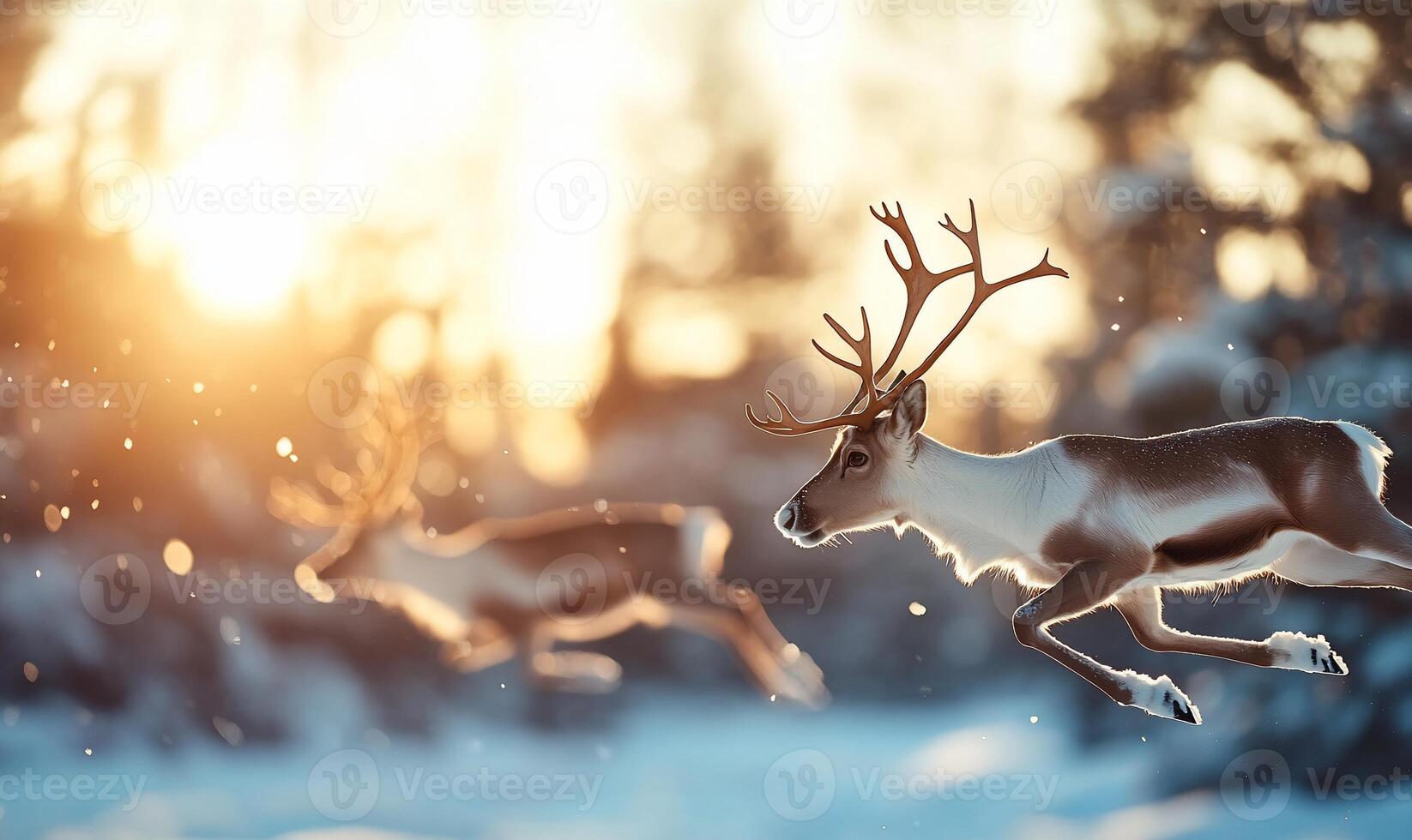 Two reindeer gracefully leaping through a snowy landscape at sunset. photo