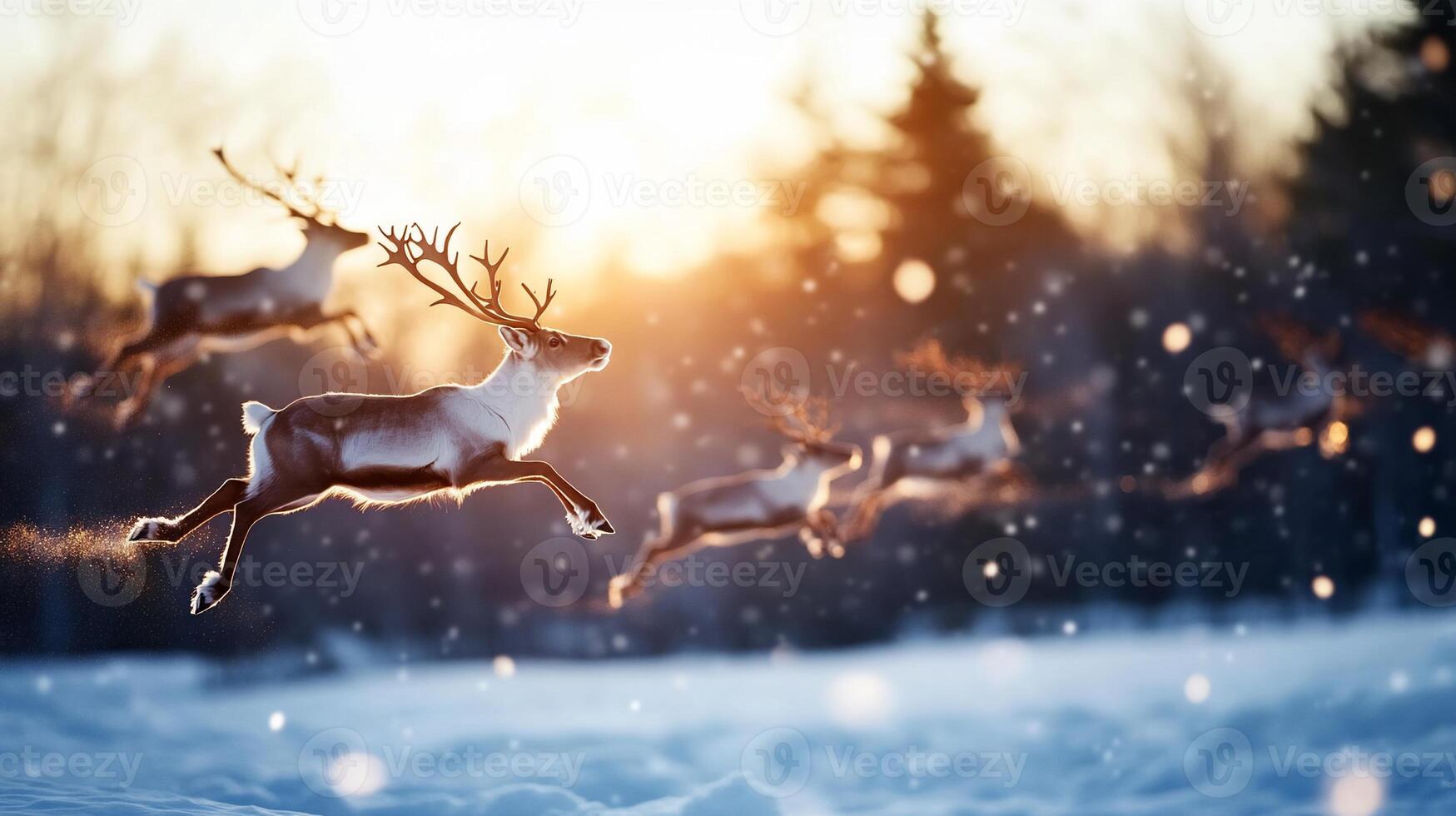 Deer jumping in the air in the snow photo