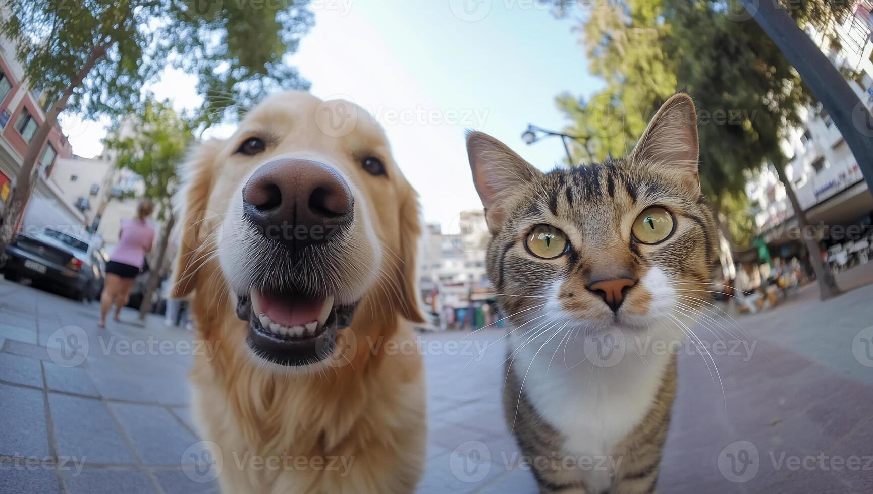 A cat and dog are looking at the camera photo