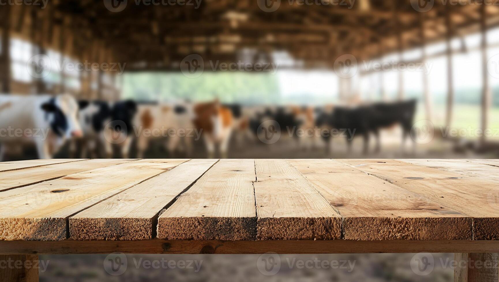 Table top in a barn with cows photo