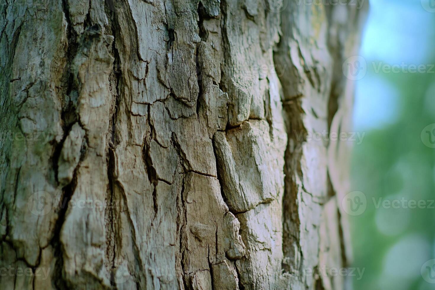 A close up of a tree with a bird on it photo