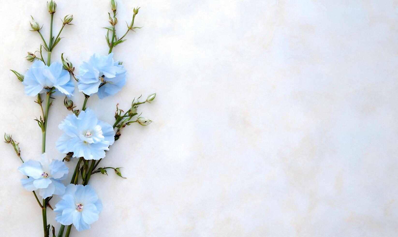 A delicate arrangement of light blue flowers on a soft background. photo