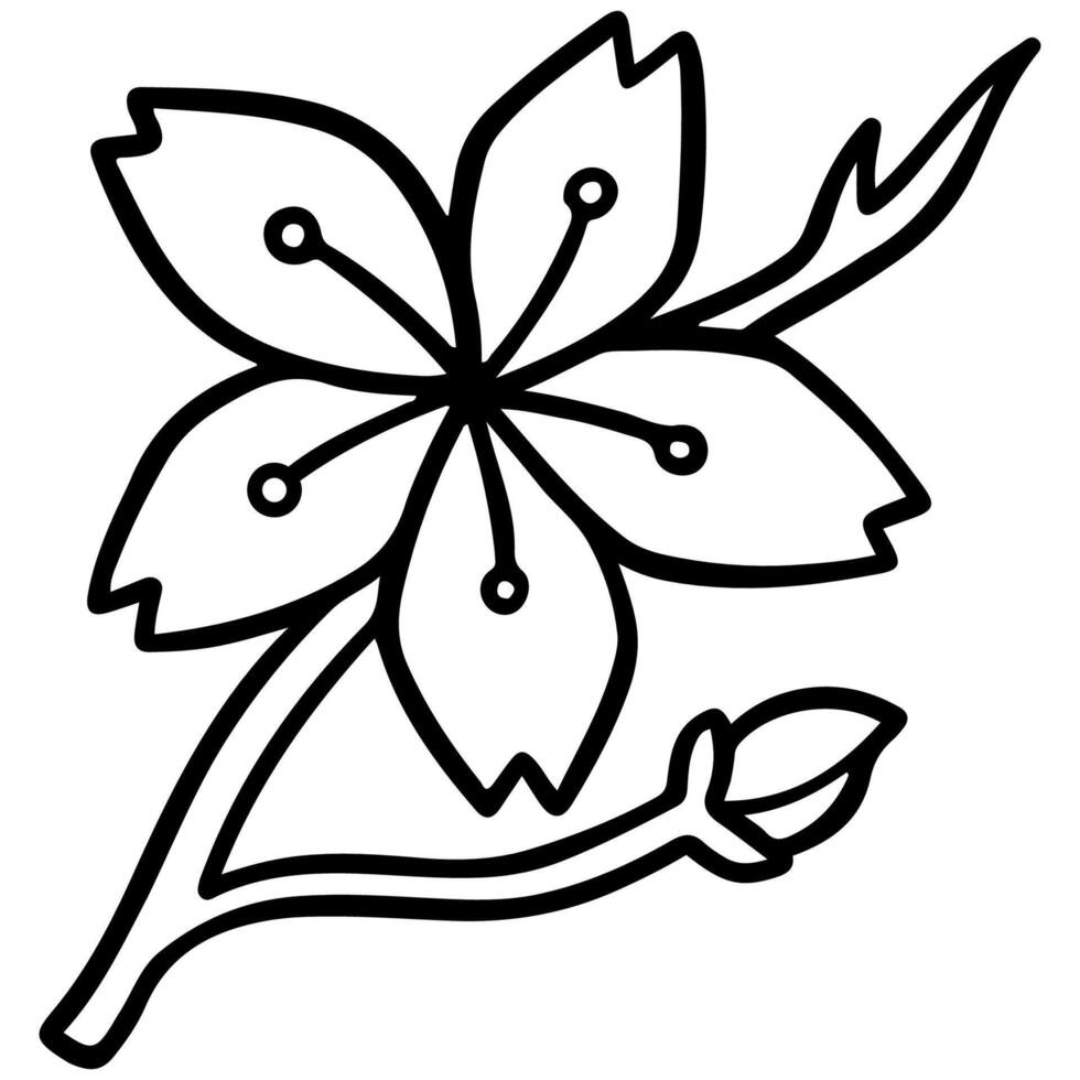 sakura flower outline icon vector